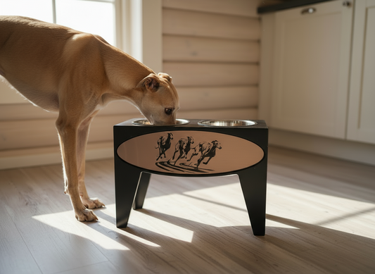 Dog Dish Stand, 15 Inches Tall, 2-Place, Black