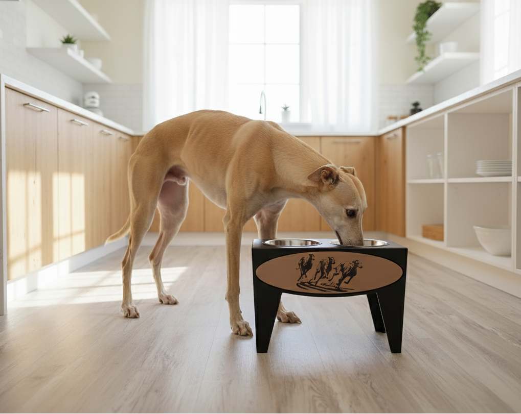 Dog Dish Stand, 15 Inches Tall, 2-Place, Black